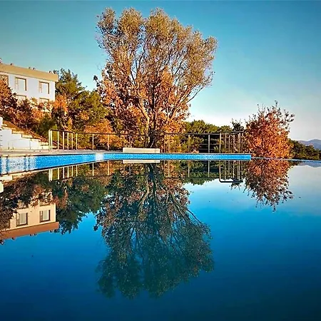 Goedence Restoran 5* سفيريهيسار